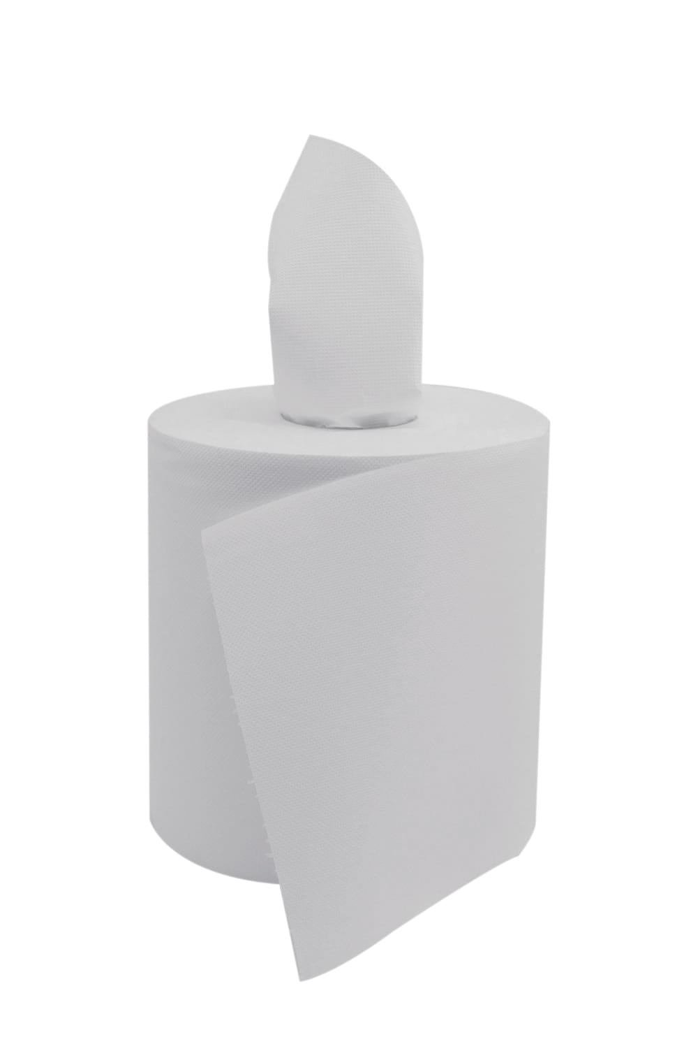 Essuie-tout bobine ouate 18,1x23 450f - 6 bobines