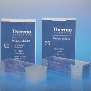 Lames avec 2 faces dépolies sur 20 mm 1 PACK - Boite de 50