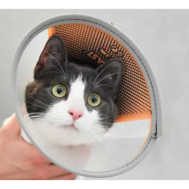 Collier auto agrippant VELFAST taille 15 - Unité – Image 2